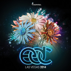 DJ Dan at EDC Las Vegas 2014