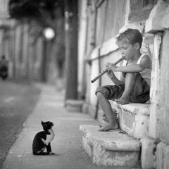 Ein Straßenjunge der mit Musik die Welt verzaubert