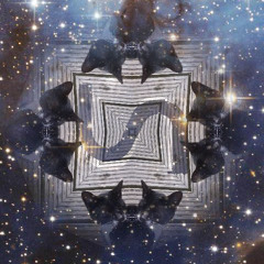 9000 lazer rainbow kittens