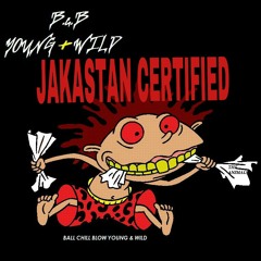 Swb Gunner - (Fucked up) prod. By BCB