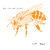 Artwork for Passion Pit
