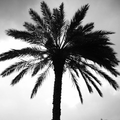 Coconut Water EP