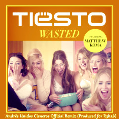 Tiësto ft. Matthew Koma - Wasted (Andrës Unidos Cisneros Official Remix) [Made for R3hab] Preview