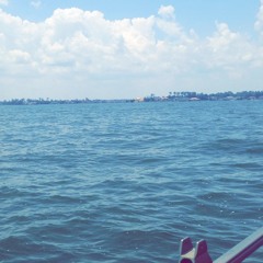 TRAP HOUSE SUMMER 2K14 MIX