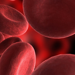 Blood, Sweat And Tears - The Parody