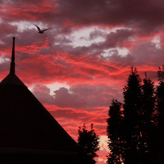 Each Coming Night - Iron and Wine (cover)