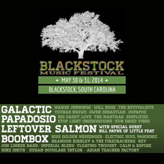 How Not To Float | Blackstock 2014