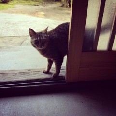 まわりみち   tomo(+monotoon)