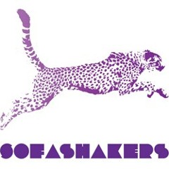 Aretha Franklin - Someday We'll All Be Free (SofaShakers Remix)