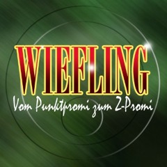 Wiefling - vom Punktpromi zum Z-Promi: WM-Song (07.07.2014)