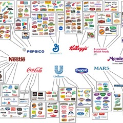 TIMMY T- One More Try