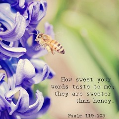 Thenilum inimai Yesuvin namam - Jeshuran G & Collins Joshua