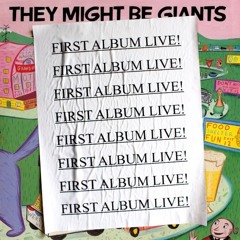 They Might Be Giants: Chess Piece Face (live)