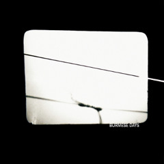 Burmese Days - Peter Kutin