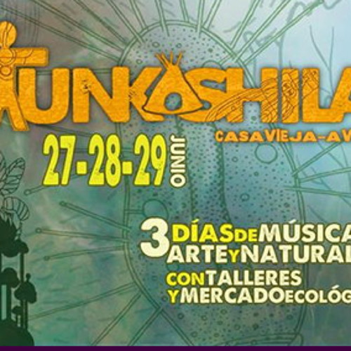 Furthur "Tunkashila" Festival - Alucine Stage - Dj PSYweONE