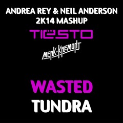 Tiesto Vs. Merk & Kremont - Wasted Tundra (Andrea Rey & Neil Anderson 2k14 MashUp)