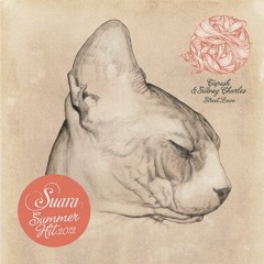 Tapesh & Sidney Charles - Street Love (Original Mix)