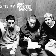 Beastie Boys - Ch-Check It Out (remixed By MrWhiteBeats)