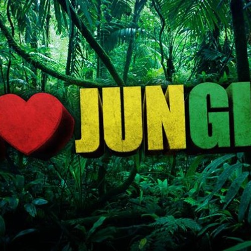 Jungle музыка