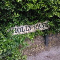 Brooke Ro$e - Holly Lane