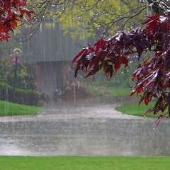 As The Rain Falls