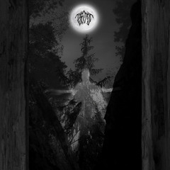 Taatsi - A Moonlight Journey Through The Midwinter Forest