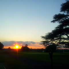 Lear Lake - Daylight Fades