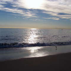 Ocean