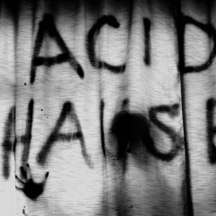 Welcome to The ACID House -