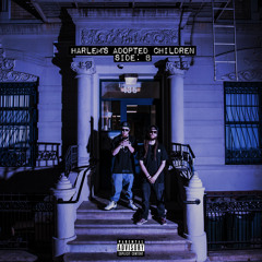 SWAG TOOF - 01 INTRO - Harlem's Adopted Children (Side- B)