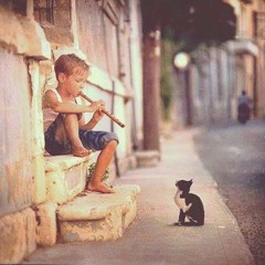 Beatbox Music