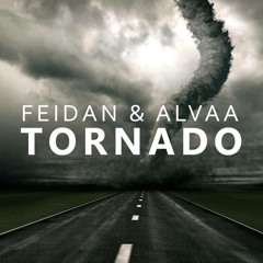 Feidan & Alvaa - Tornado (Original Mix)