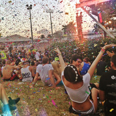Spencey In The Grass 2014 Splendour Artist Mix