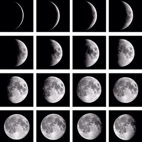 Aden X Claude VonStroke X Kill Frenzy - Whip It Down Girl (Mija Mashup)