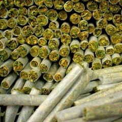 Chris Webby feat Dizzy Wright - Turnt up