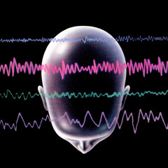 Discrete - Mind And Body