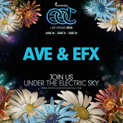 AVE & EFX - LIVE @ EDC Las Vegas 2014