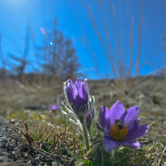 Хос Орчлон- Батсүх