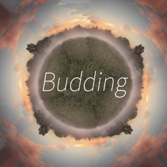 Budding