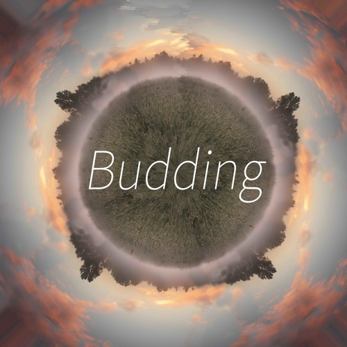 Budding