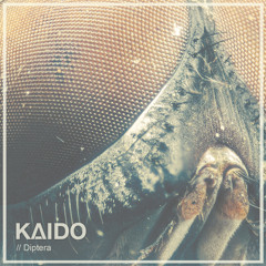 Kaido - Diptera