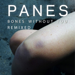 Bones Without You (Budgie Remix)