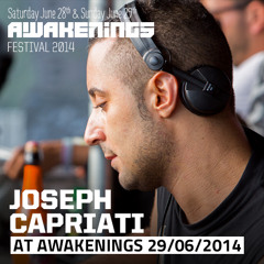 Joseph Capriati at Awakenings Festival 2014, Day Two (June 29th)