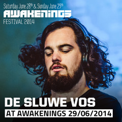 De Sluwe Vos at Awakenings Festival 2014, Day Two (June 29th)