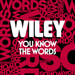 Wiley "You Know The Words" (Preditah Remix)