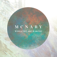 While We Are Waking - Tim McNary