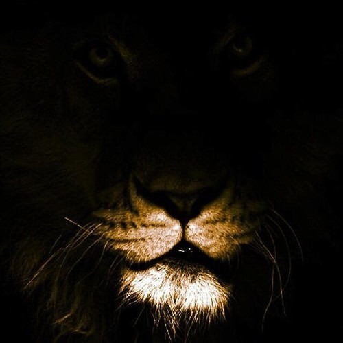"Delirious" by Triple P and 94 Metaphors   ( produced by **Chrissy-D**)