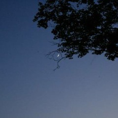 I Know You Care - ellie goulding