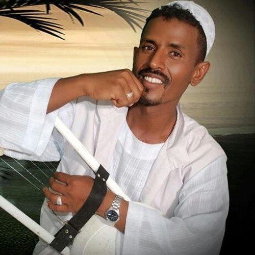 محمد النصري - زحوله