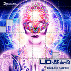 Unseen Dimensions - Coloured Squares